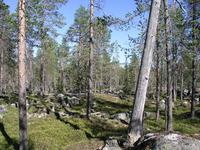 Ã…berget, Arvidsjaur 10 Â© Olli Manninen / naturskyddare.se